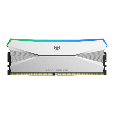 Memoria RAM Biwin Predator Hera DDR5 6000MHz 32GB (2x16GB) Color Plata