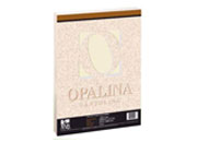 Cartulina Opalina Facia Carta Marfil C/100 225GR - Vista 3