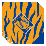 Libreta Dietrix First Class pasta dura doble arillo 80 hojas raya Club Tigres UANL modelo de corazon - Vista 10