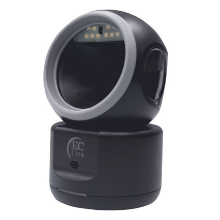 Fondo