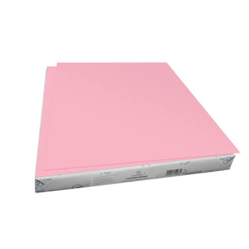 CARTULINA EUROMAC BRISTOL ROSA 50X65 PQT/100H - Vista 2