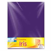 CARTULINA EUROMAC IRIS MORADO 50X65CM C/10 - Vista 3