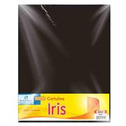 CARTULINA EUROMAC IRIS NEGRO 50X65CM C/10 - Vista 3