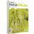 Papel Facia Opalina Carta Marfil C/100 120Grs - Vista 2
