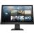 Monitor HP 18.5" P19b G4 Resolución 1366x768 Panel TN - Vista 2