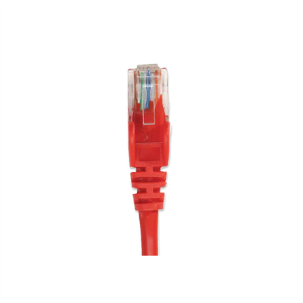 Cable Intellinet Red Cat6 UTP RJ45 M-M 1.5m Color Rojo - Vista 4