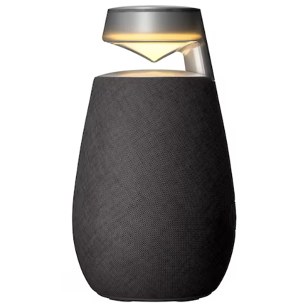 Bocina LG XBOOM 360 20W bocina bluetooth con sonido omnidireccional 360 negro