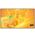 Pantalla LG 49UH5Q 49 pulgadas 3840 x 2160 UHD 24 Hours 7 Days 500 nits - Vista 2