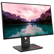 Monitor ThinkVision Lenovo T24-40 23.8" WLED Panel IPS 1920x1080 USB/HDMI/DP/VGA - Vista 4
