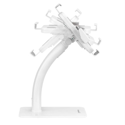 Soporte de Suelo Manhattan Antirrobo para Tablet/iPad 7.9" a 11" Color Blanco - Vista 12