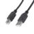 Cable Manhattan USB B Alta Velocidad 2.0 A-B3m Color Negro - Vista 6