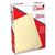 FOLDER OFFIZ MANILA LEGAL 3 POCISIONES C/100 - Vista 2