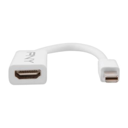 Adaptador pny mini display port a hdmi (macho-hembra)