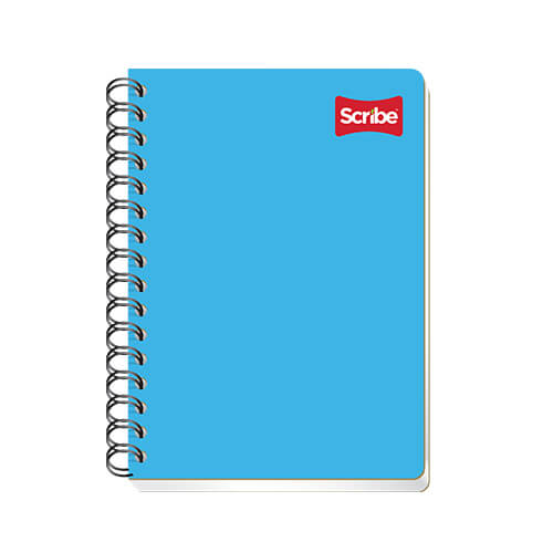 Cuaderno scribe frances clasico raya 100 hjs