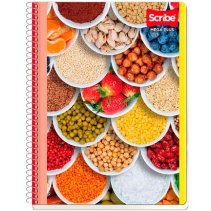 Cuaderno scribe profesional mega c5 100 hojas