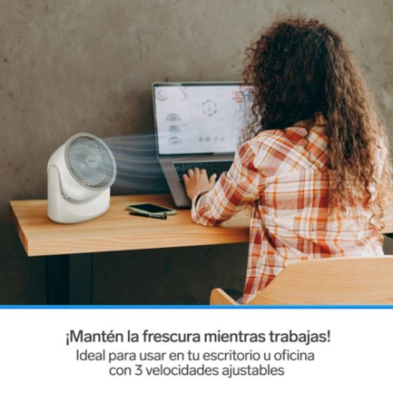 Fondo