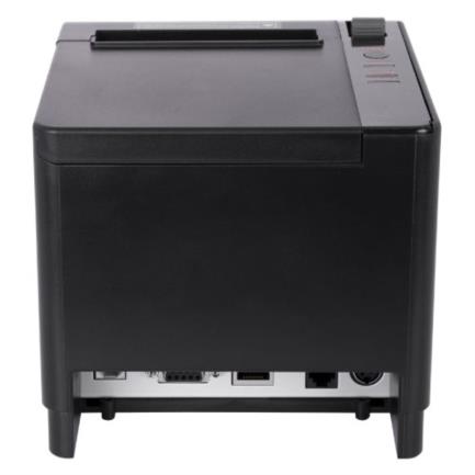 Fondo