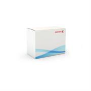 Kit Inicialización Xerox 35PPM MFP Metered - Vista 3