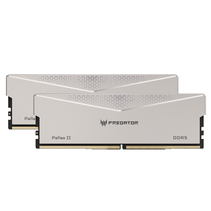 Memoria Biwin DIMM DDR5 Predator PALLAS IIGaming 32GB (2X16GB) 6400 MT/S CL32