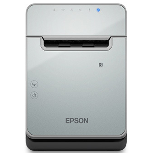 Impresora Termica Epson TM L100