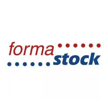 PAPEL FORMASTOCK BLANCO 12 X 8.5 2TANTO C/1500