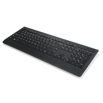 Teclado Lenovo Professional Inalámbrico en Español Color Negro