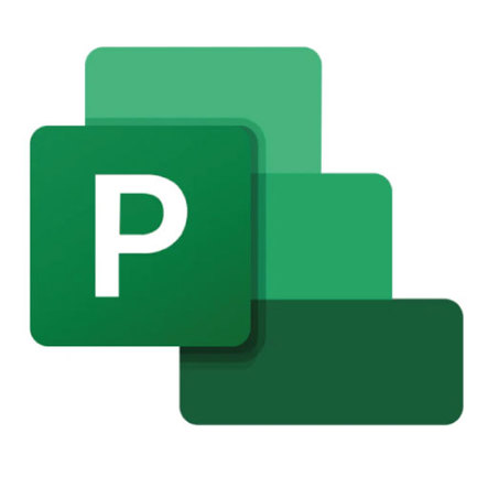 Software Microsoft Project Standard 2024 All Lng Retail Online ESD