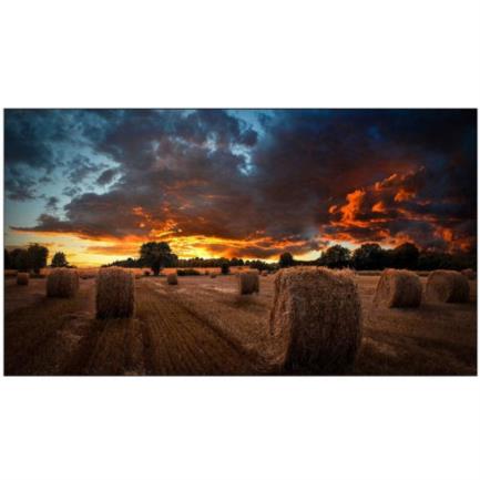 Pantalla Samsung 46" Smart Signage LH46VMTU FHD Resolución 1920x1080 Panel IPS
