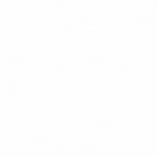 ZEBRA Exel Papeleria 2025