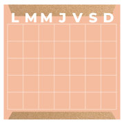 PLANEADOR MENSUAL ALFRA MIXTO CORAL  30X30 CM