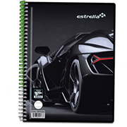 CUADERNO ESTRELLA FRANCESA 100HJS RAYADO