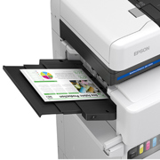 Finalizador Interior Epson 500 hojas