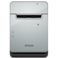 Impresora Termica Epson TM L100