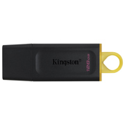 Memoria USB Kingston de 128 GB 3.2 Gen 1 DataTraveler Exodia con Logo